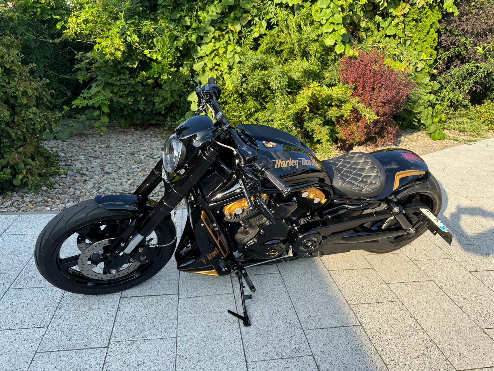 Harley V - Rod MUSCLE, pneumat, 360 mm opona, 2016 rok